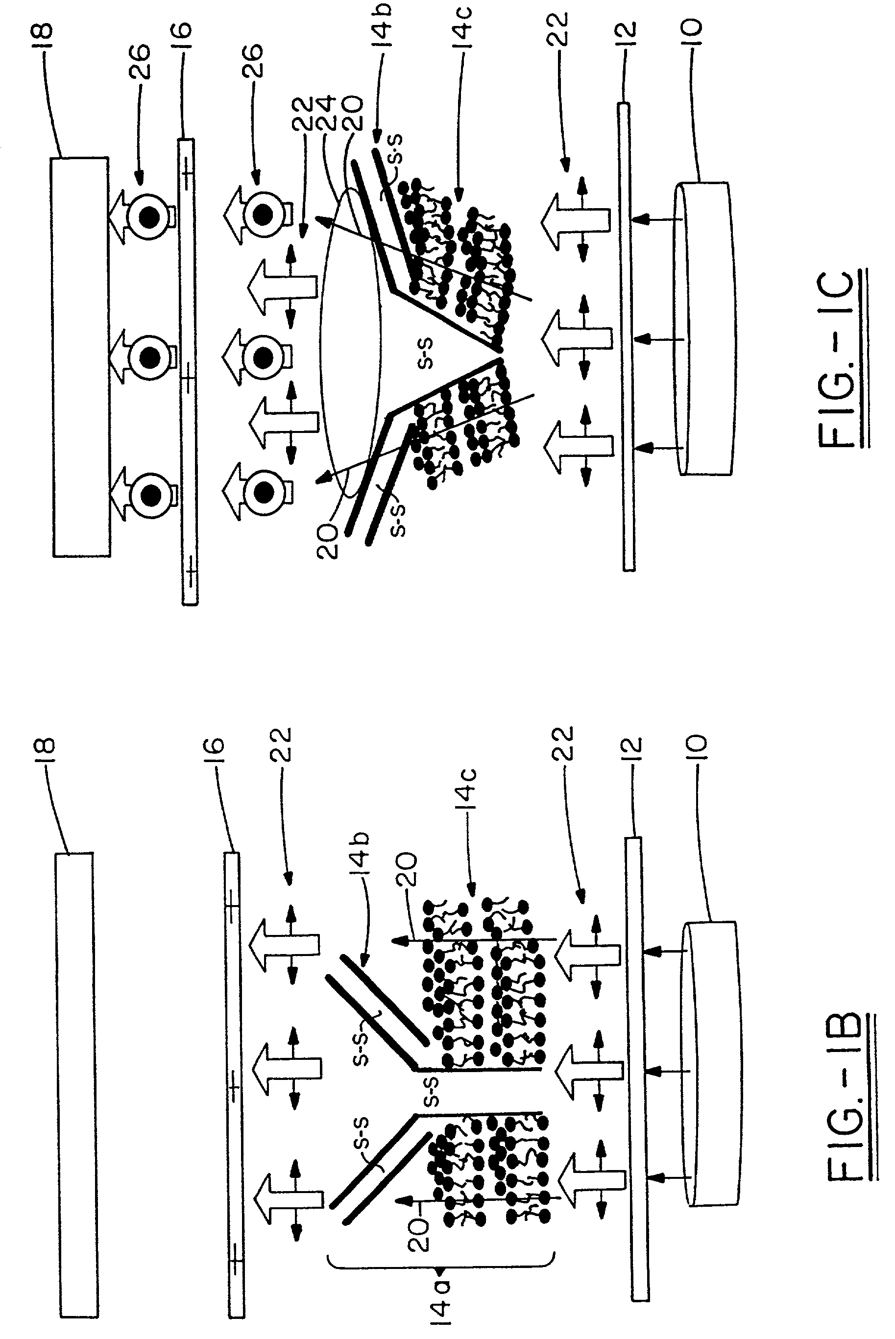 Detection and amplification of ligands