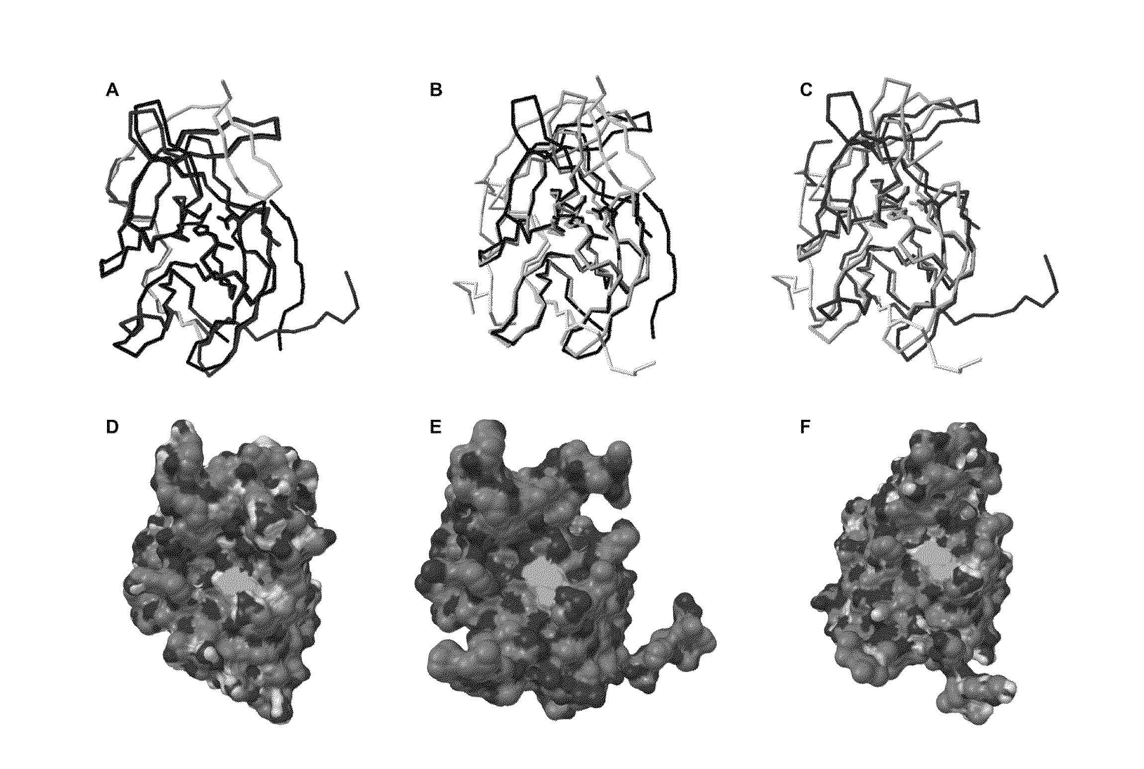 Small-molecule inhibitors of dengue virus proteases