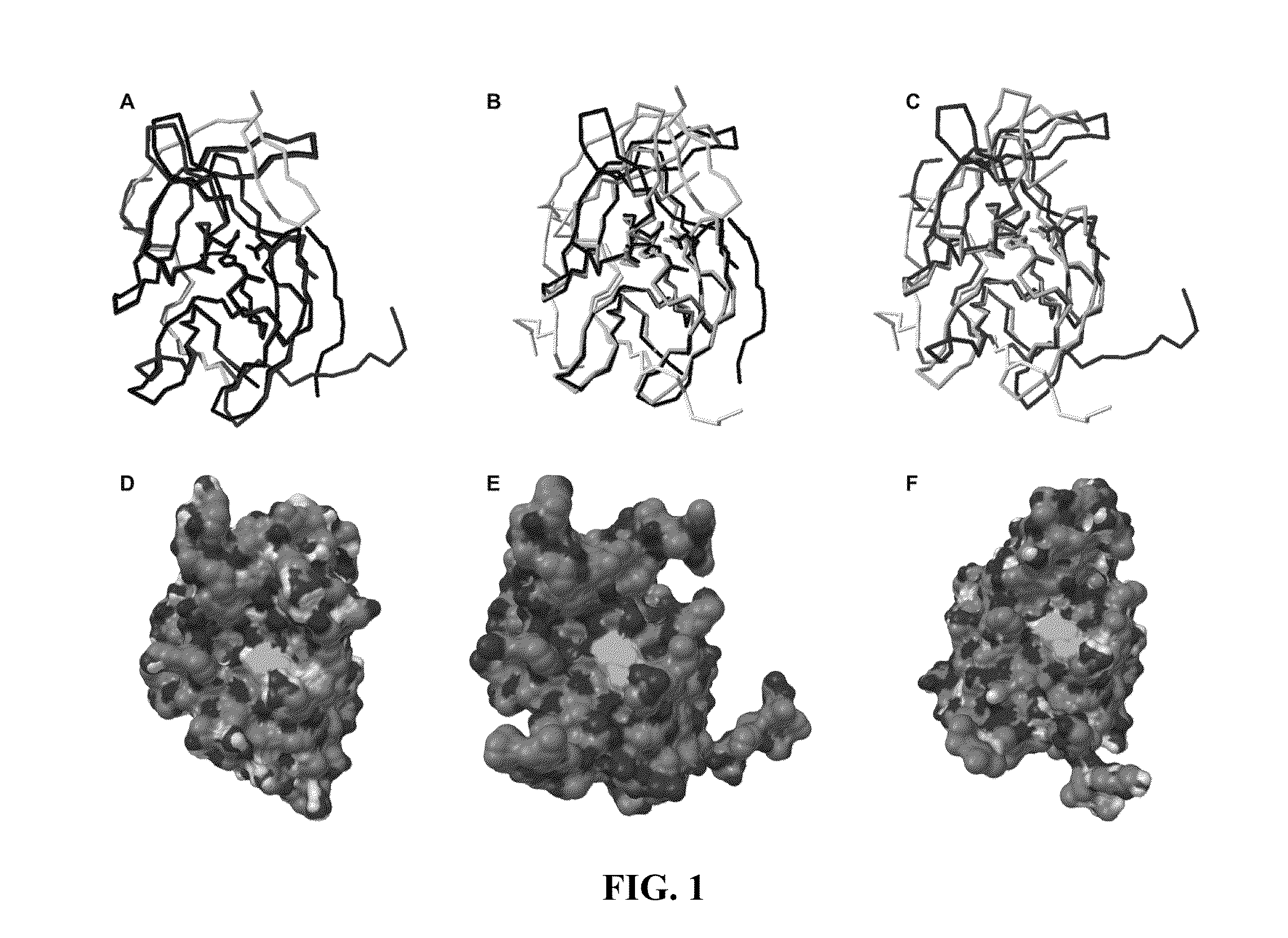 Small-molecule inhibitors of dengue virus proteases