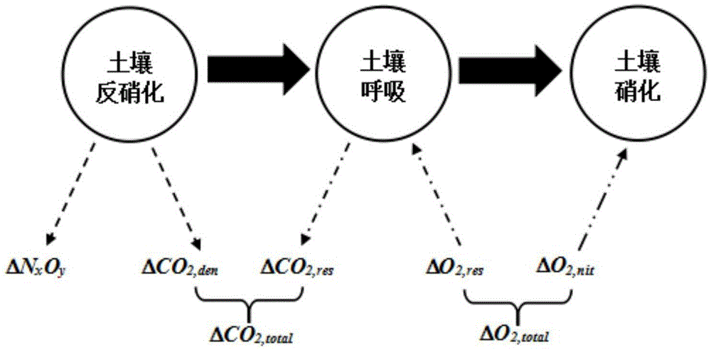 Method for measuring respiration-nitrification-denitrification rates of soil in in-situ manner