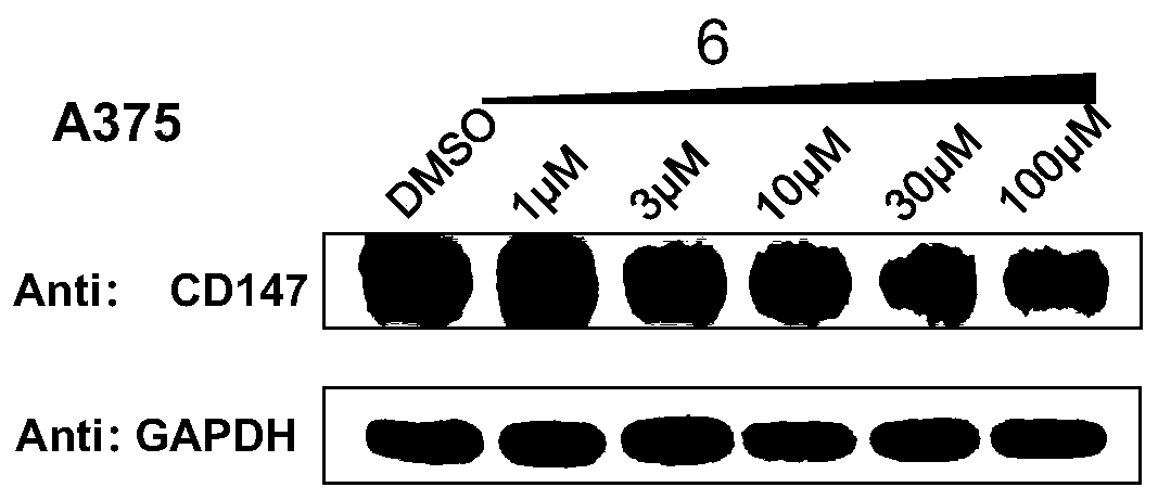 Proteolytic targeting chimera, and preparation method and application thereof