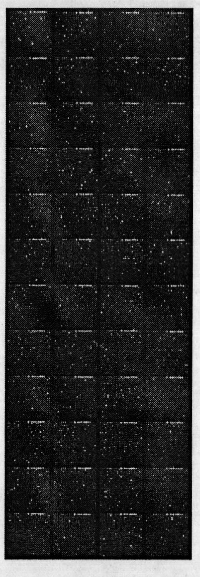 Method for detecting uranium pollution by taking arabidopsis oligonucleotide fragment as probe