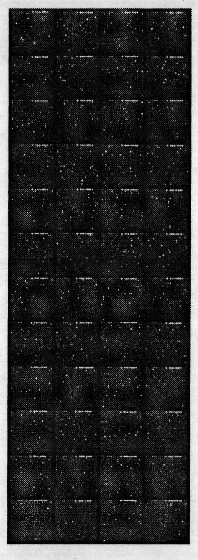 Method for detecting uranium pollution by taking arabidopsis oligonucleotide fragment as probe