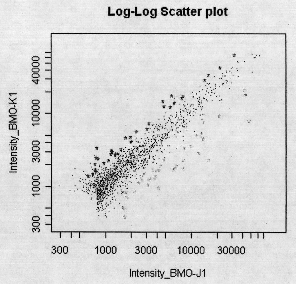 Method for detecting uranium pollution by taking arabidopsis oligonucleotide fragment as probe