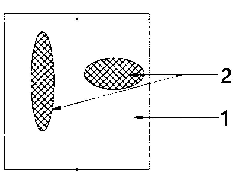 Gel mold and preparation method and application thereof