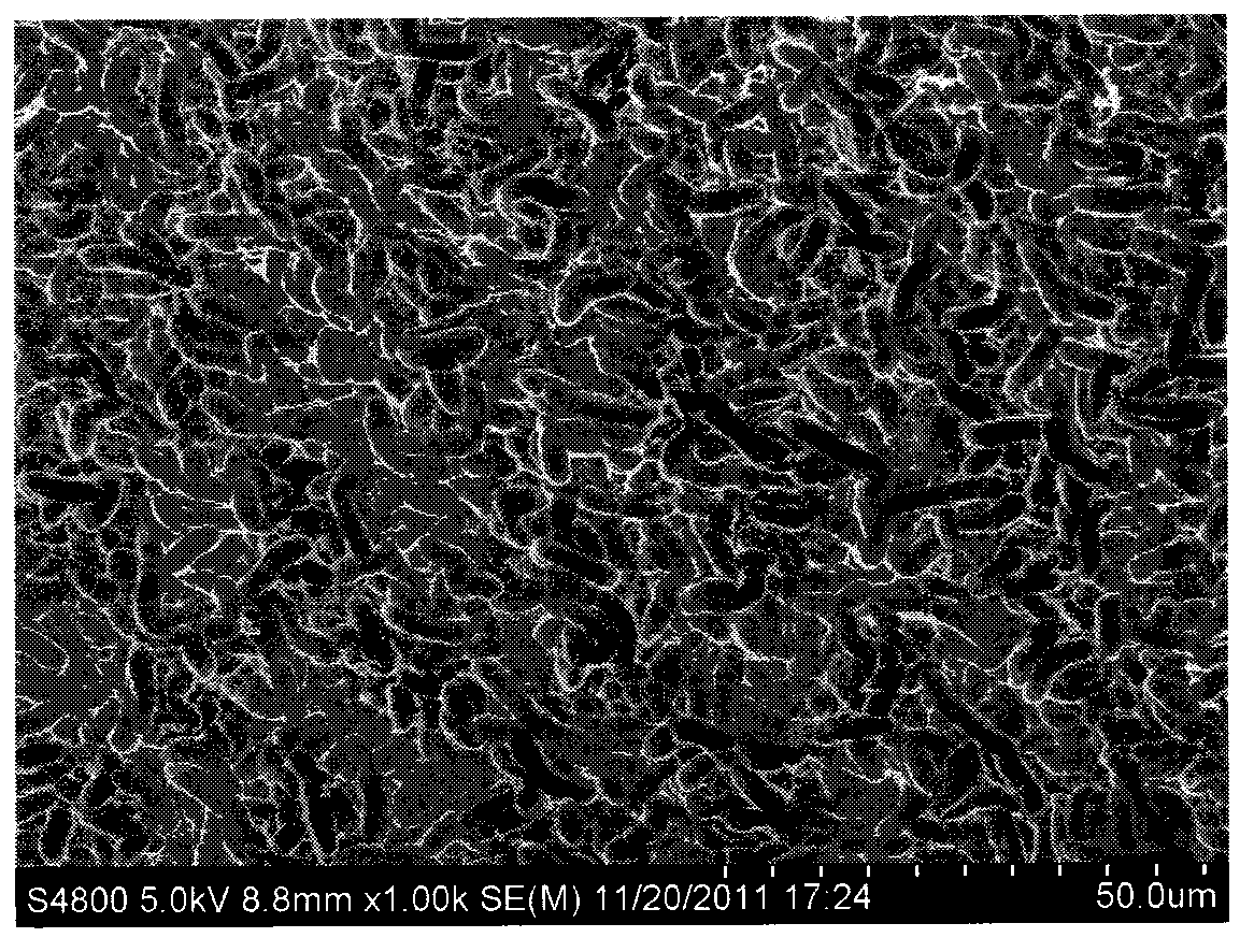 Silicon solar cell surface light trapping structure and preparation method thereof