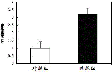 Immunocyte culture medium, and culture method and application of immunocytes