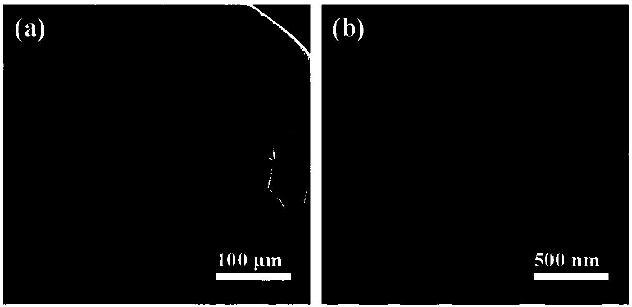 3D porous zinc-loaded current collector, sodium or potassium-philic battery negative electrode and preparation and application thereof