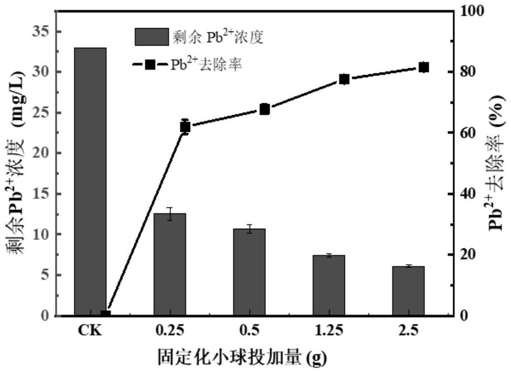 Biochar-supported nano-zero-valent iron-coupled phosphate-solubilizing bacteria immobilized pellets and its preparation method and application