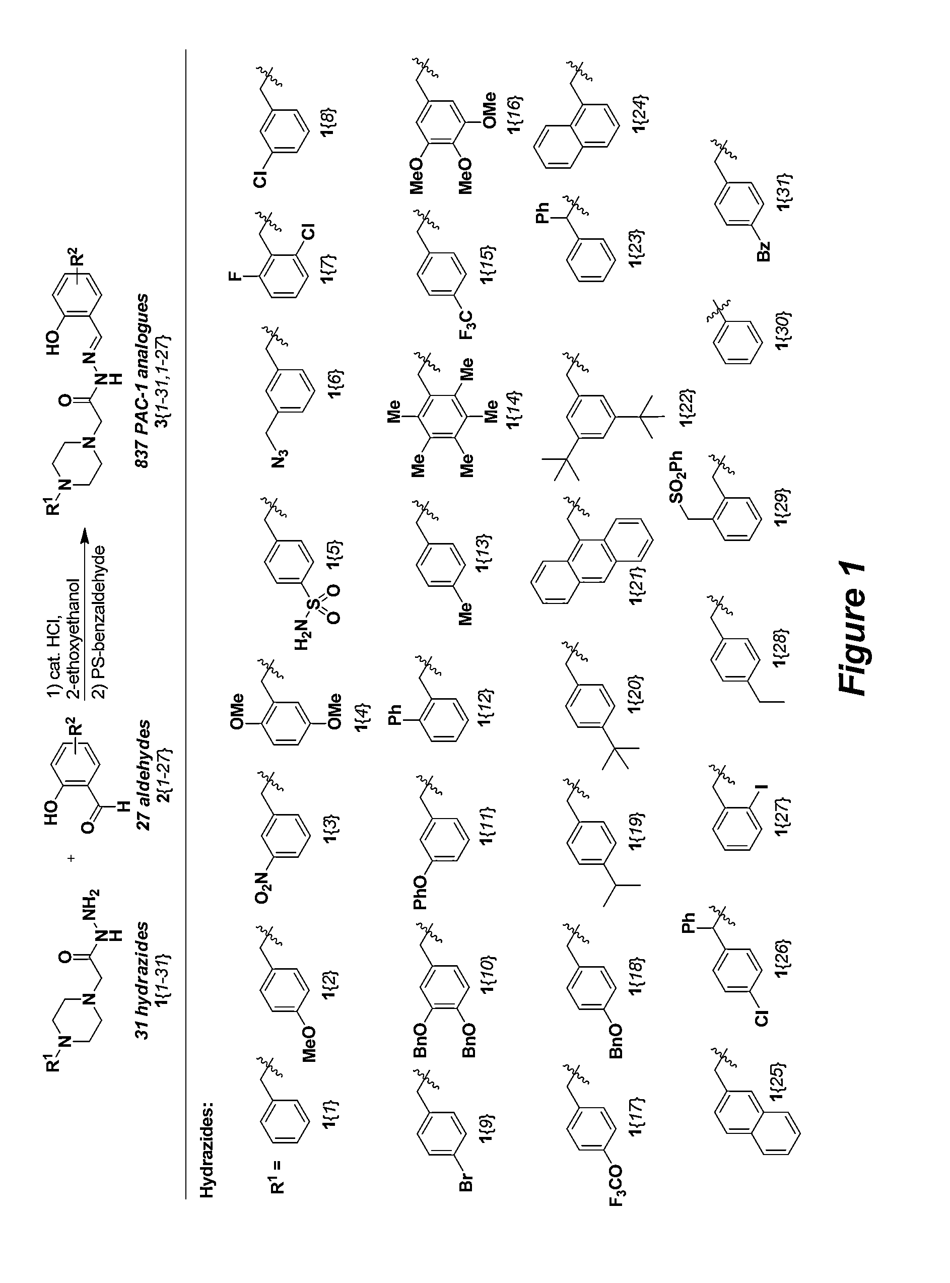 Procaspase-activating compounds and methods