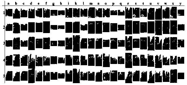 Sign language recognition method based on deep belief network and multi-mode characteristics