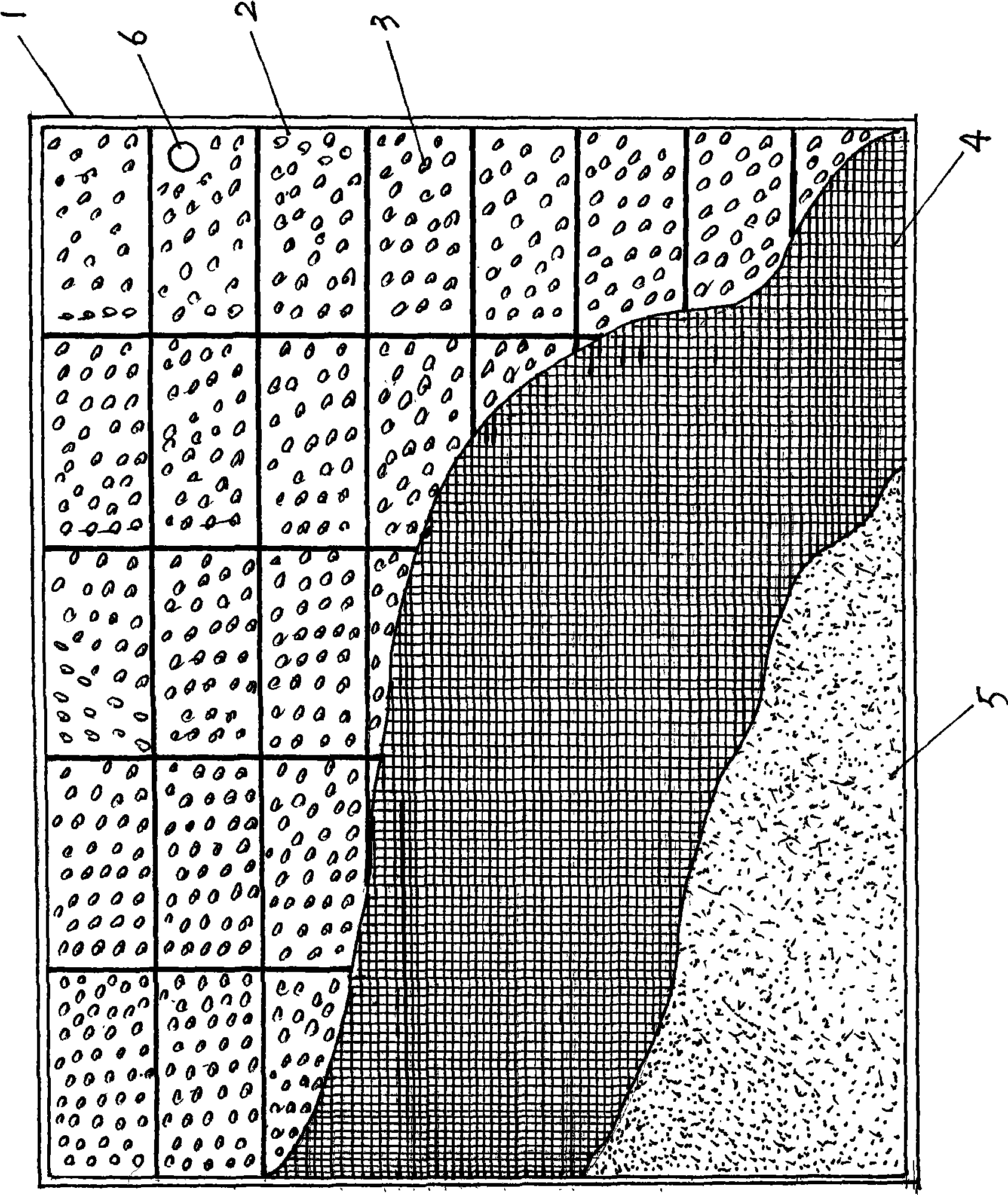 Technique for cultivating Hemifusus tuba