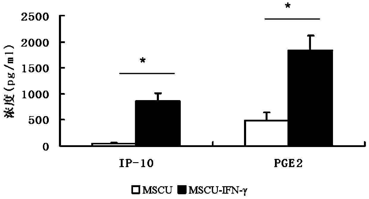 Application of umbilical cord mesenchymal stem cells in the preparation of pharmaceutical preparations for the treatment of pulmonary interstitial fibrosis