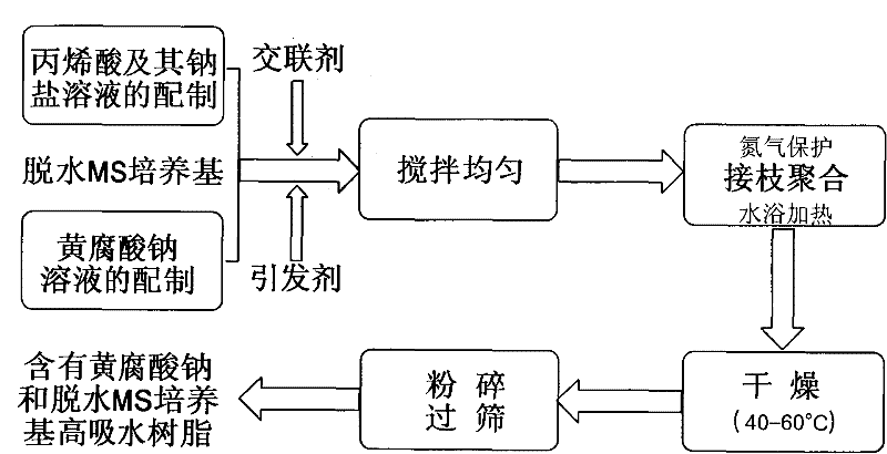 Method for preparing super absorbent resin containing fulvic acid sodium and MS dry medium