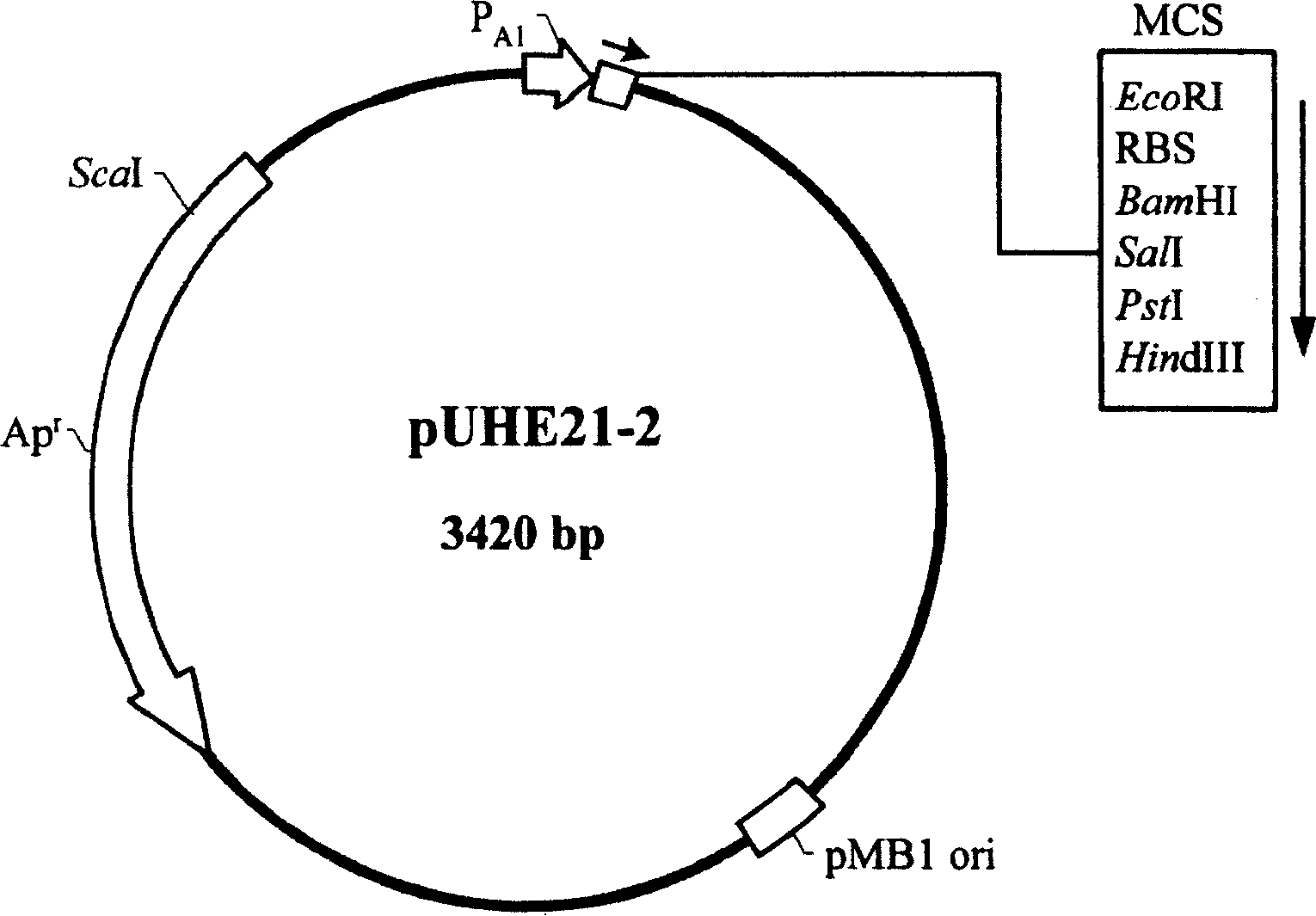 Nucleic acid structure and expression carrier for enhancing recombinant protein production and mass-production method of recombinant protein