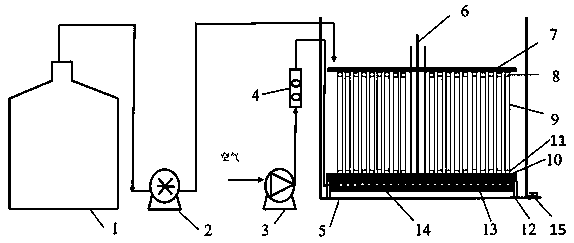 Reactor for implementing static cultivation and continuous growth of aerobic filamentous biological membranes