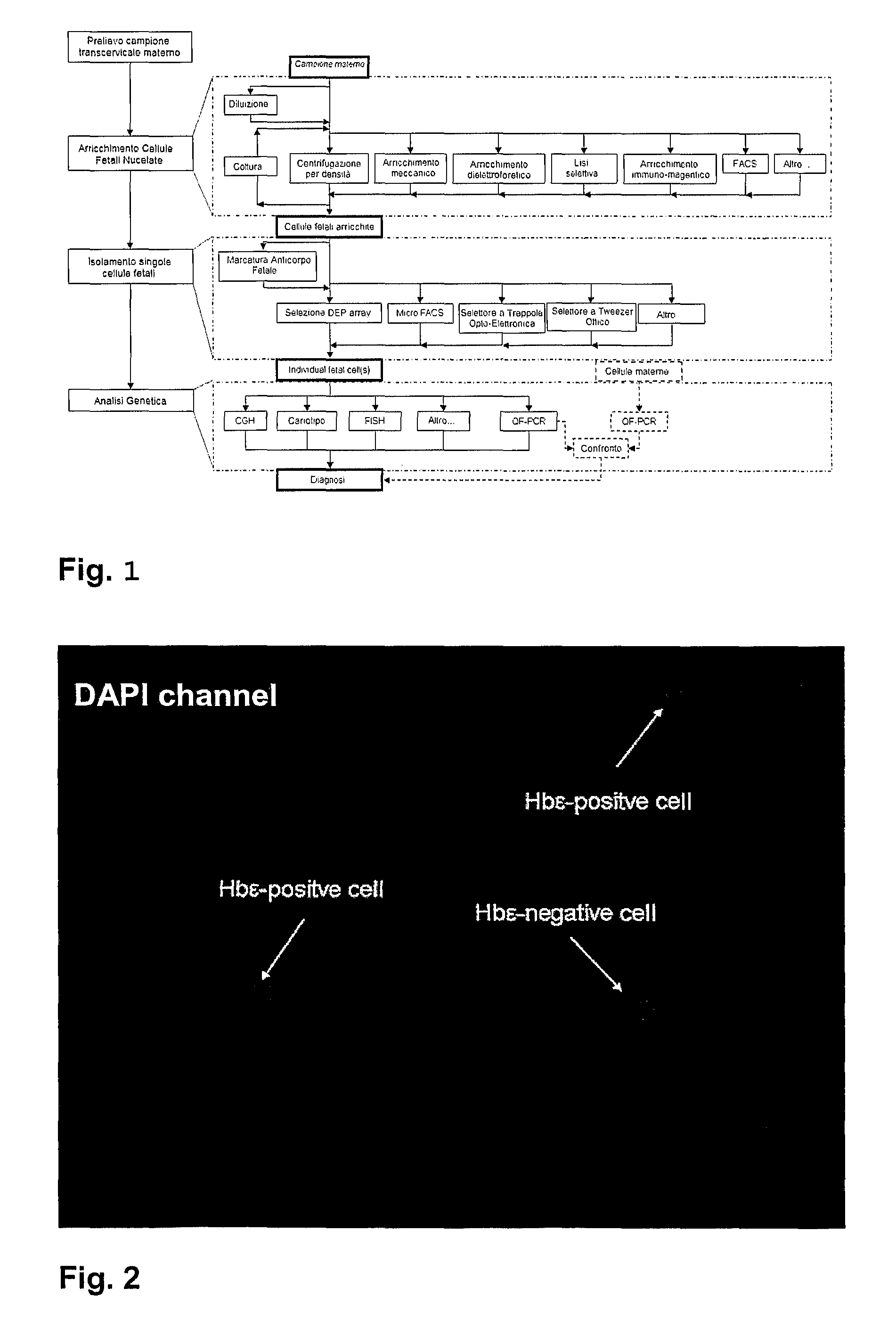 Method and Device for Non-Invasive Prenatal Diagnosis