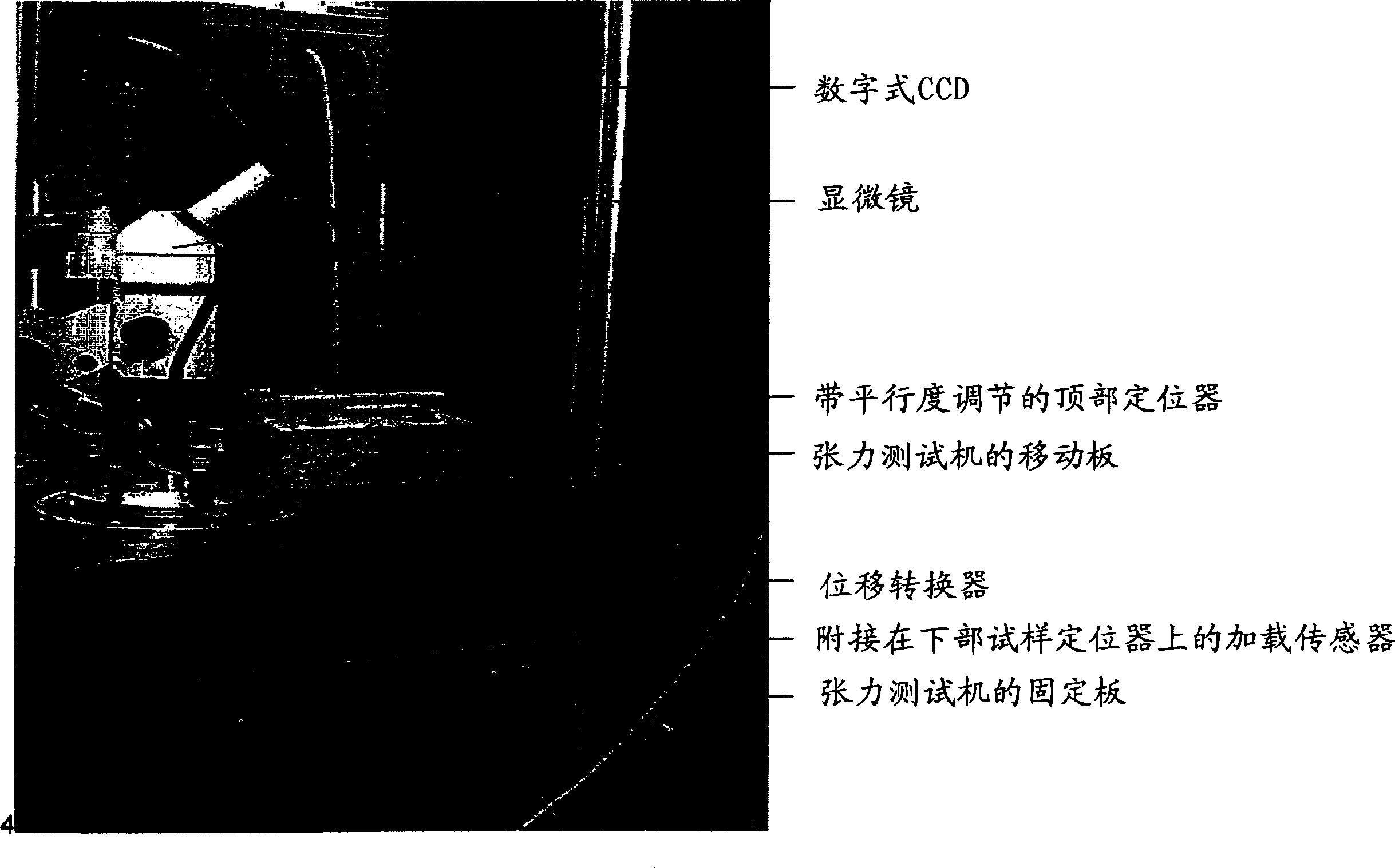 Coated optical fibers