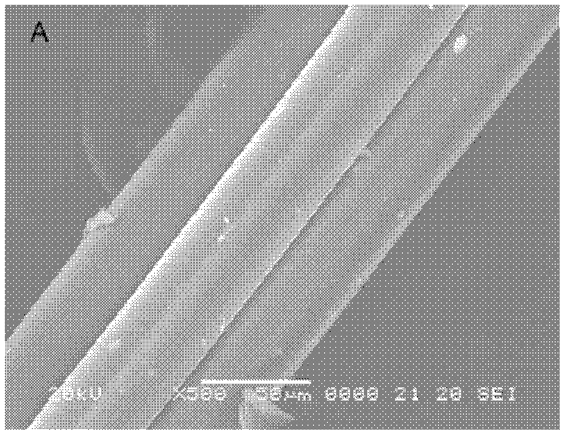 Antibacterial polyurethane fiber and preparation method thereof