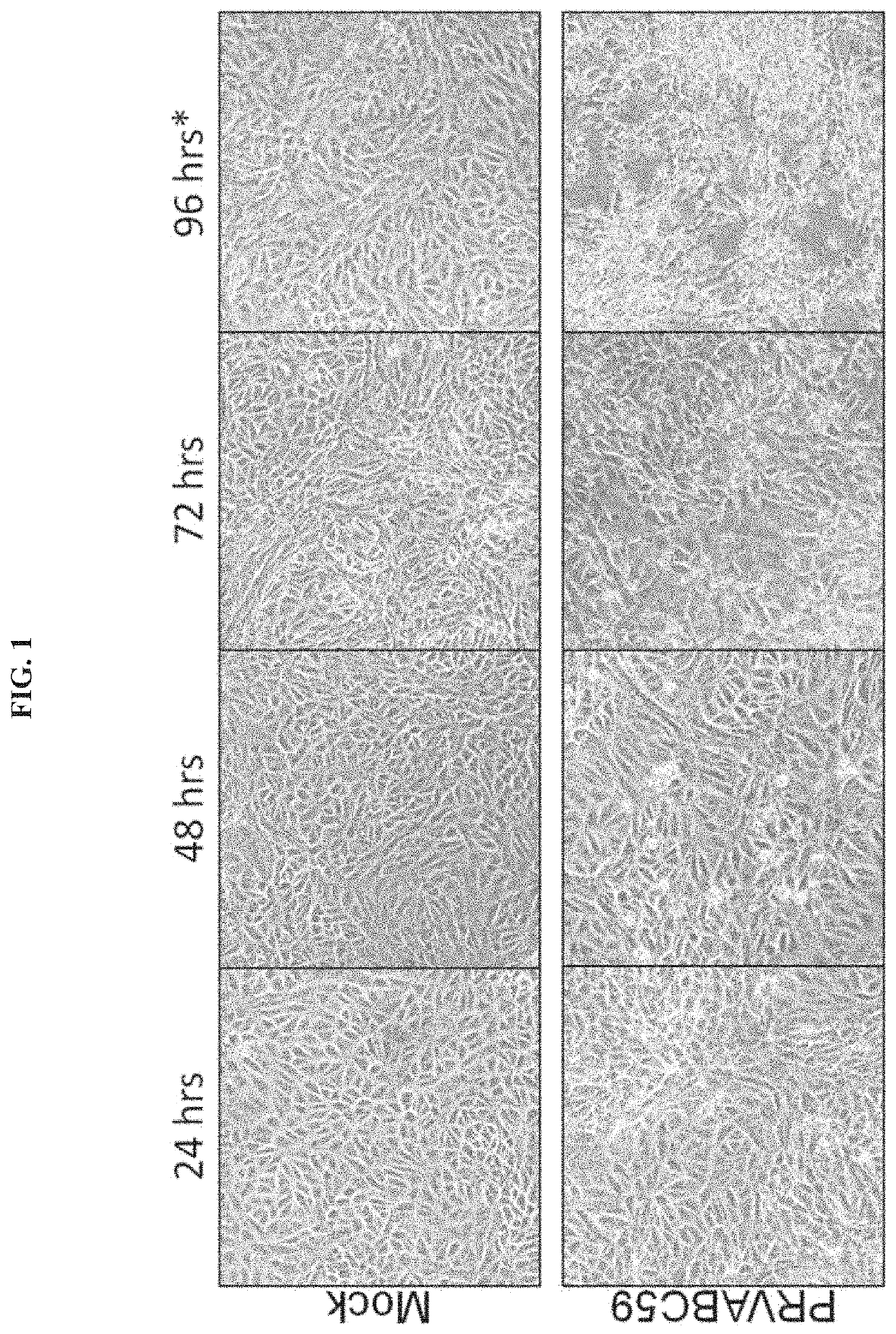 Method for inactivating zika virus and for determining the completeness of inactivation