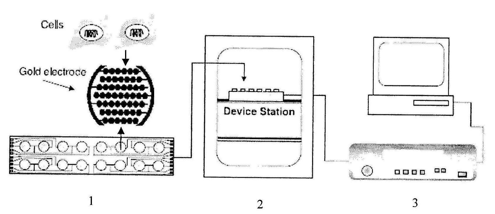 Flue gas condensate cytotoxicity determination method based on cell electronic sensor