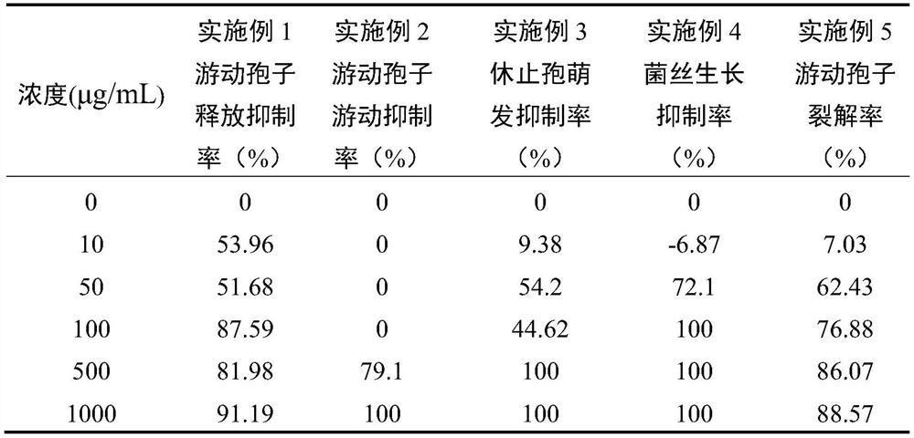 New application of thioether compound methyl propyl trisulfide to inhibit Phytophthora