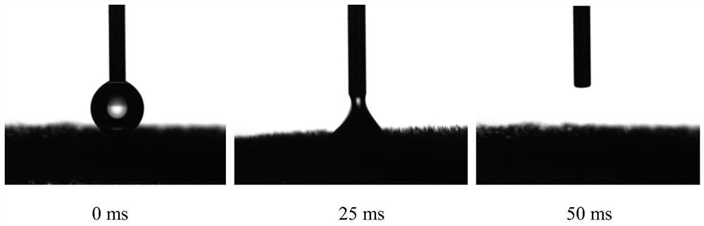 A kind of preparation method of the sponge that is used for oil-water separation and regulates the pore size of the paper fiber