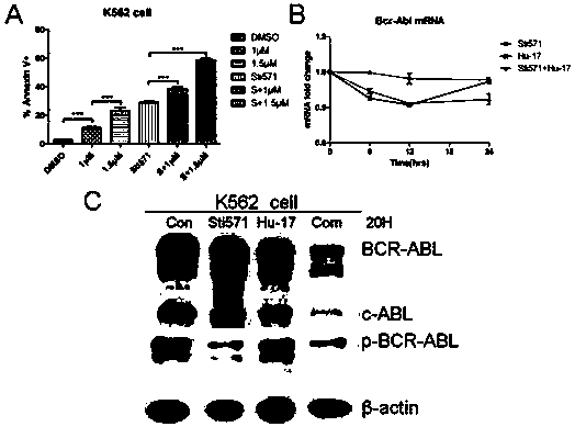 Application of compound hu-17 alone or in combination with tyrosine kinase inhibitors in the preparation of drugs for the treatment of chronic myelogenous leukemia