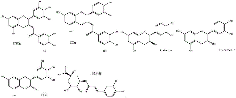 Anti-oxidant oral nursing composition