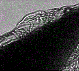 Graphene-clad atomic force microscope probe and manufacturing method and application thereof