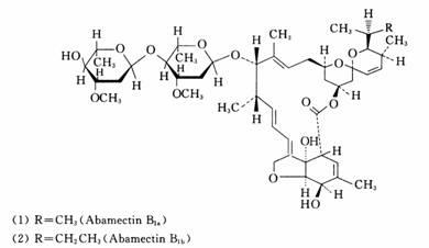 Abamectin-cyanobacteria anti-ultraviolet sustained-release microcapsule insecticide and preparation method thereof