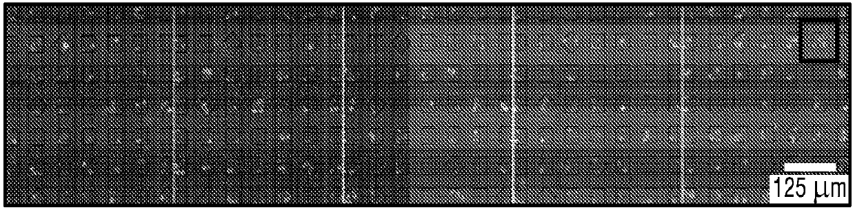 Integrated functional and molecular profiling of cells