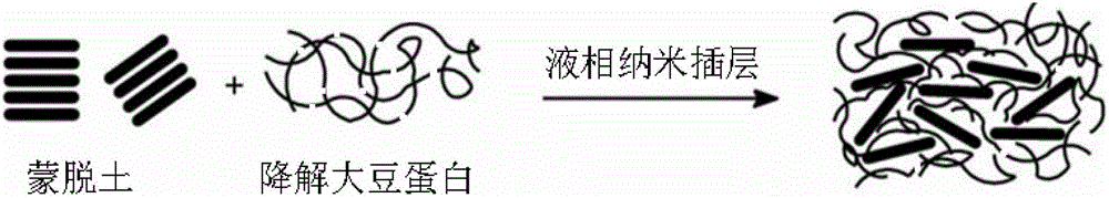 Water resistant soy protein adhesive for wood processing and preparation method thereof