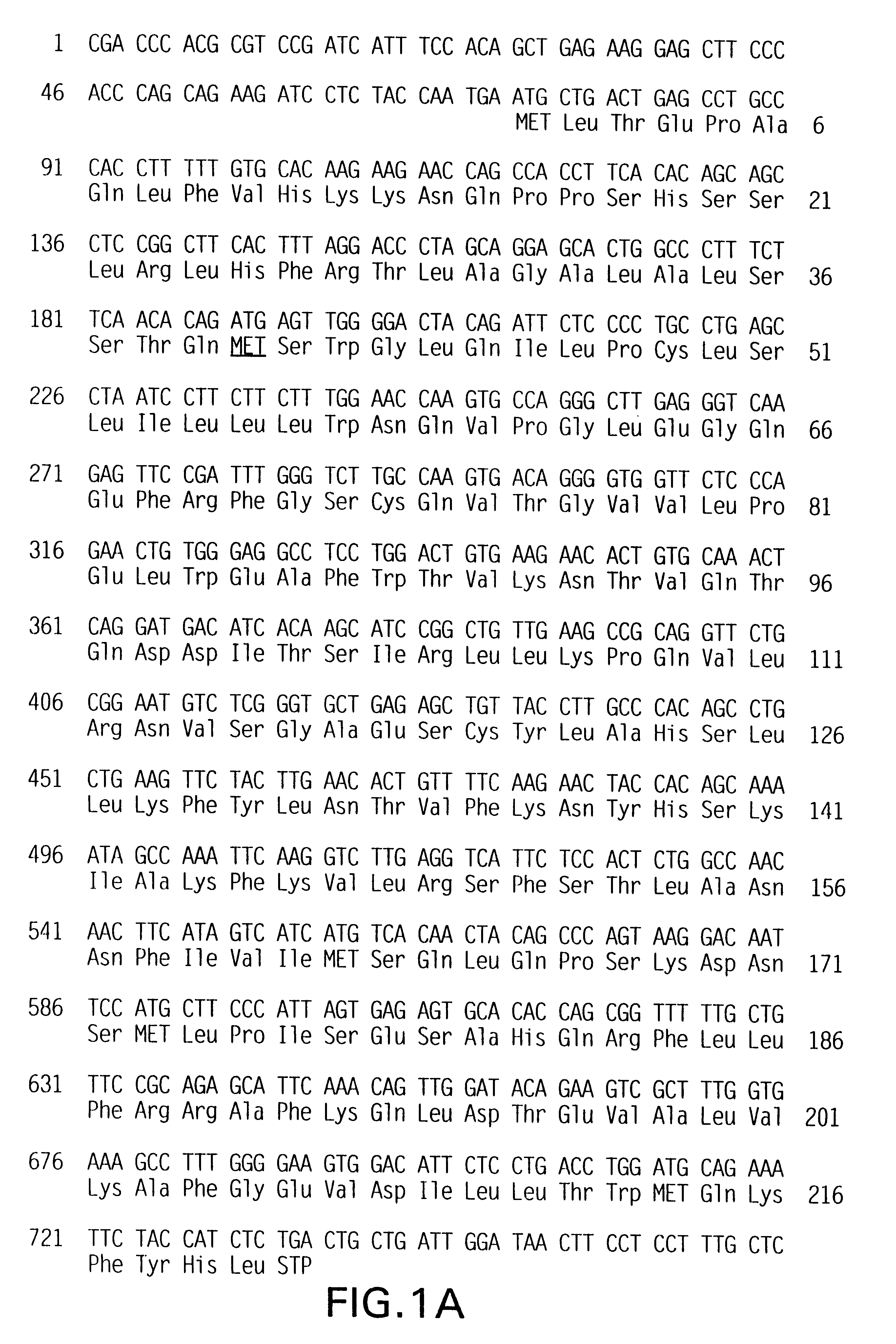 TH2-specific gene