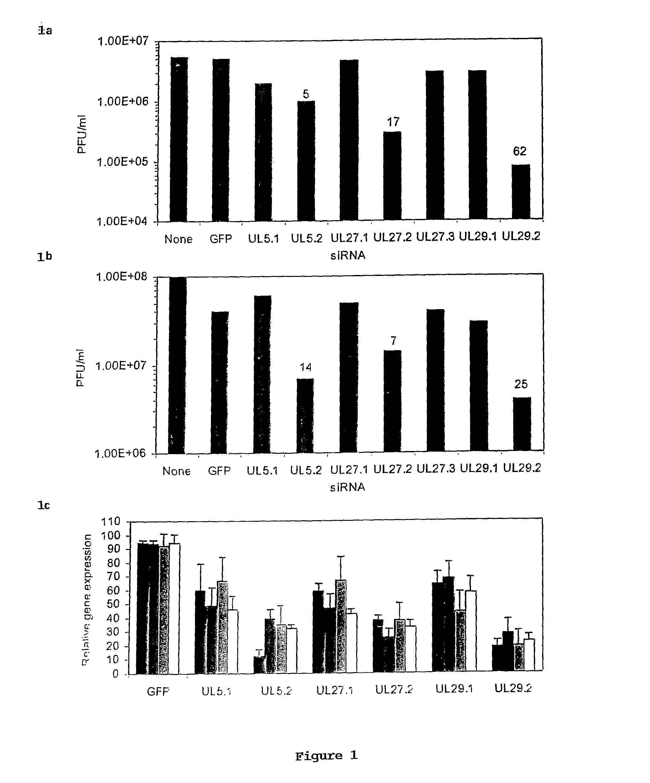 siRNA MICROBICIDES FOR PREVENTING AND TREATING DISEASES