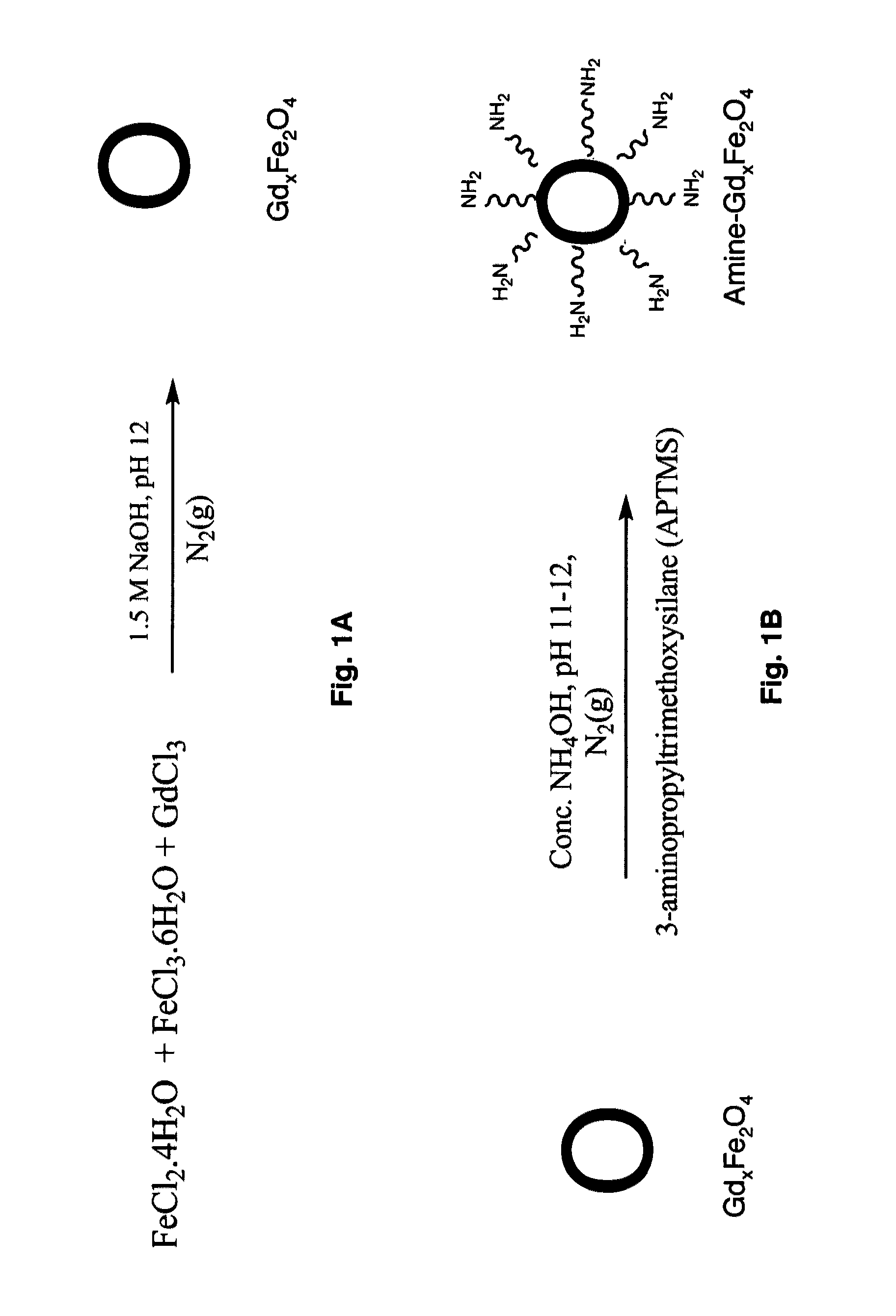 Ultrasmall superparamagnetic iron oxide nanoparticles and uses thereof