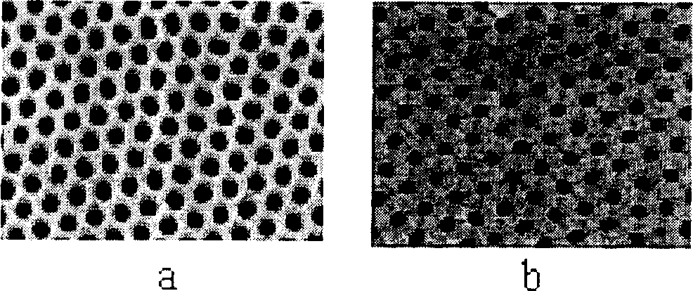 Preparation method of nano-grade capsule material based on composite mould plate technology