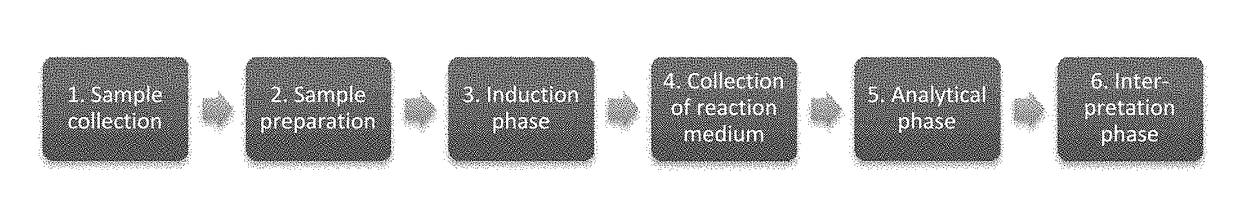 Method for selecting patients responsive for cancer treatments