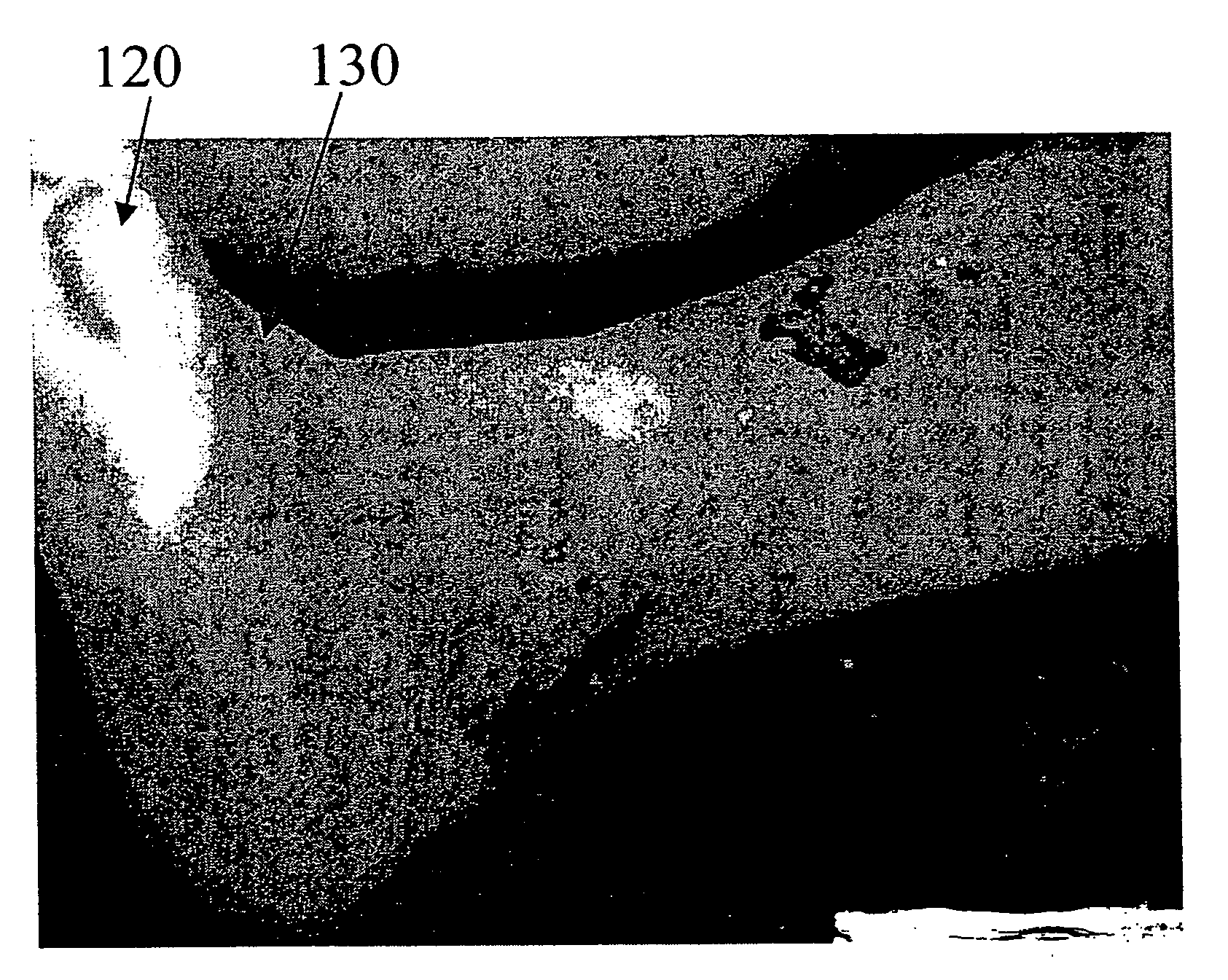 Hyperspectral imaging calibration device