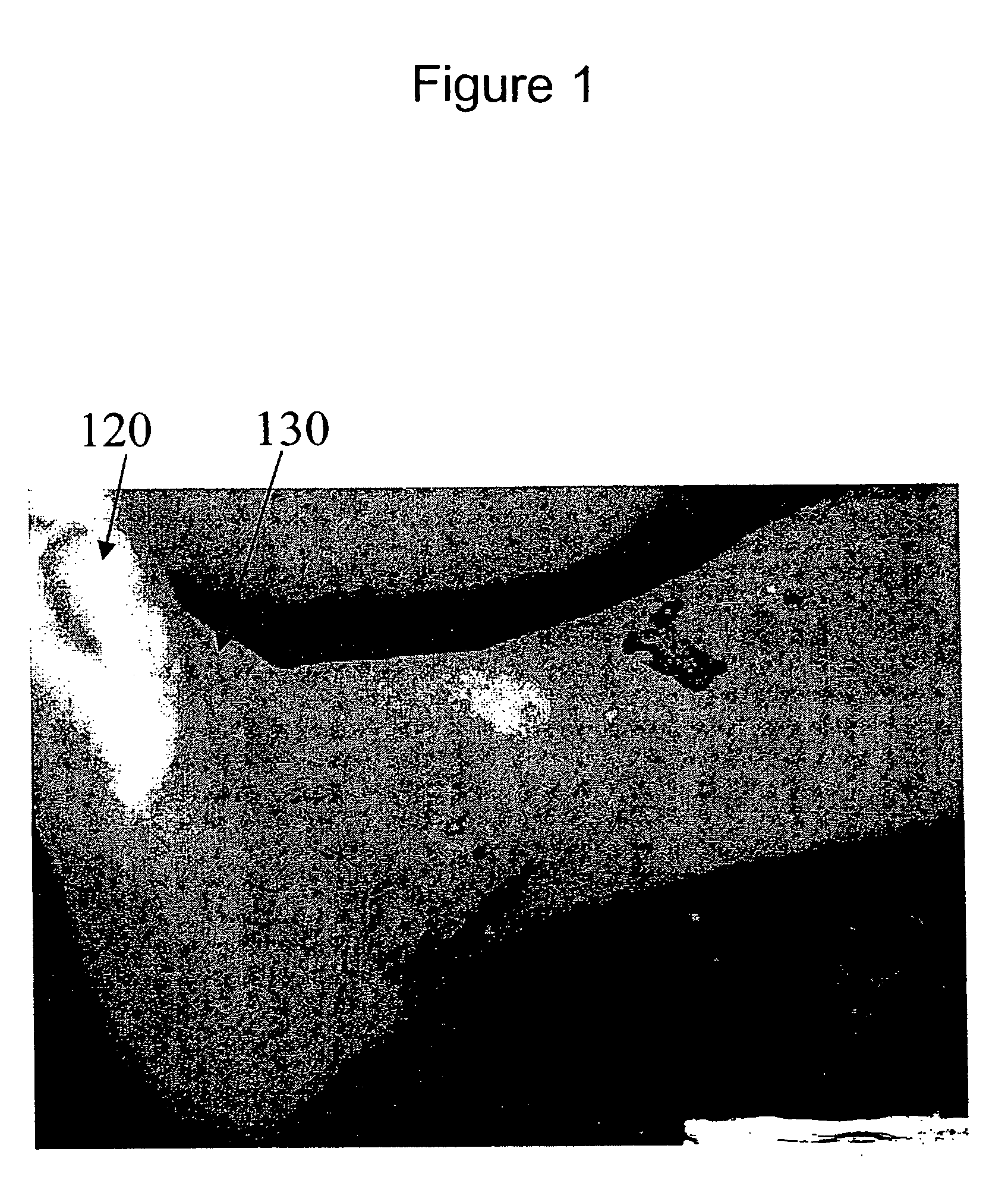 Hyperspectral imaging calibration device