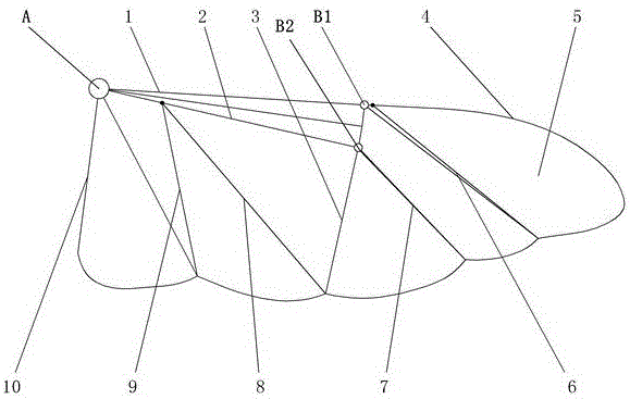 An automatic folding and unfolding flapping wing of a flapping wing micro air vehicle