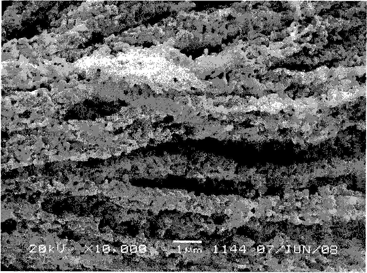 Preparation method of porous copper powder