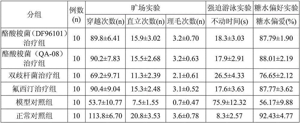 Application of Clostridium butyricum in preparation of preparations for preventing or treating depression