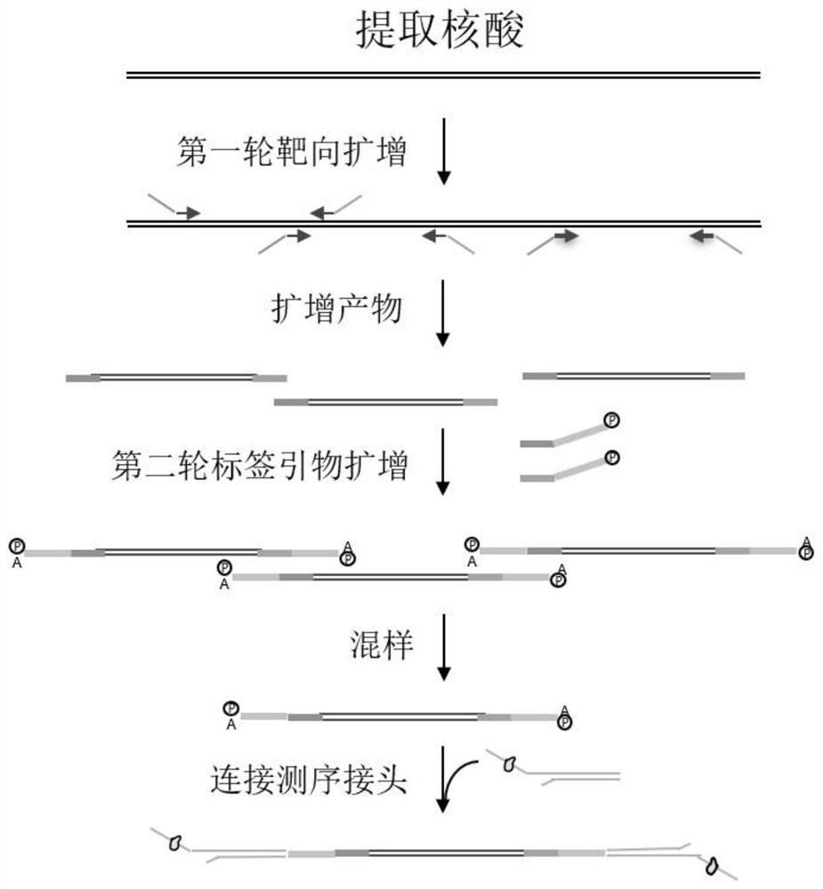 Rapid pathogenic microorganism detection method and kit thereof