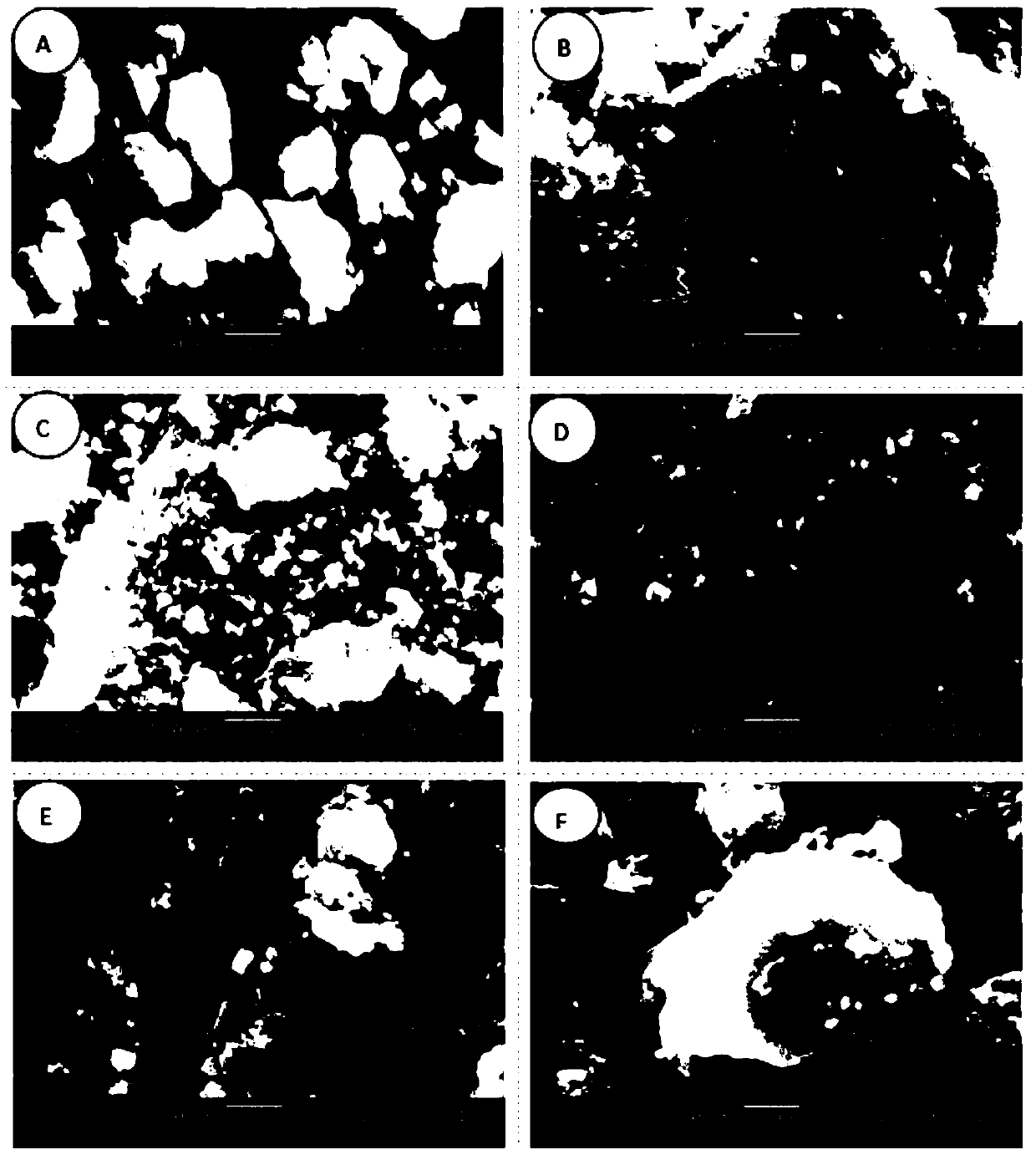 Multifunctional material PANI-CMC-Fe3O4 and application of multifunctional material PANI-CMC-Fe3O4 to treatment of printing and dyeing wastewater