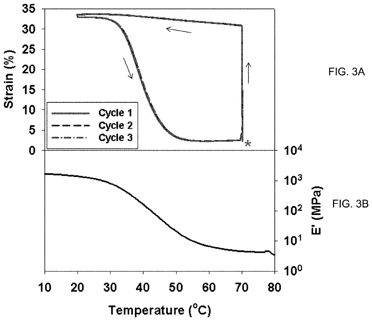 Functionally graded shape memory polymer