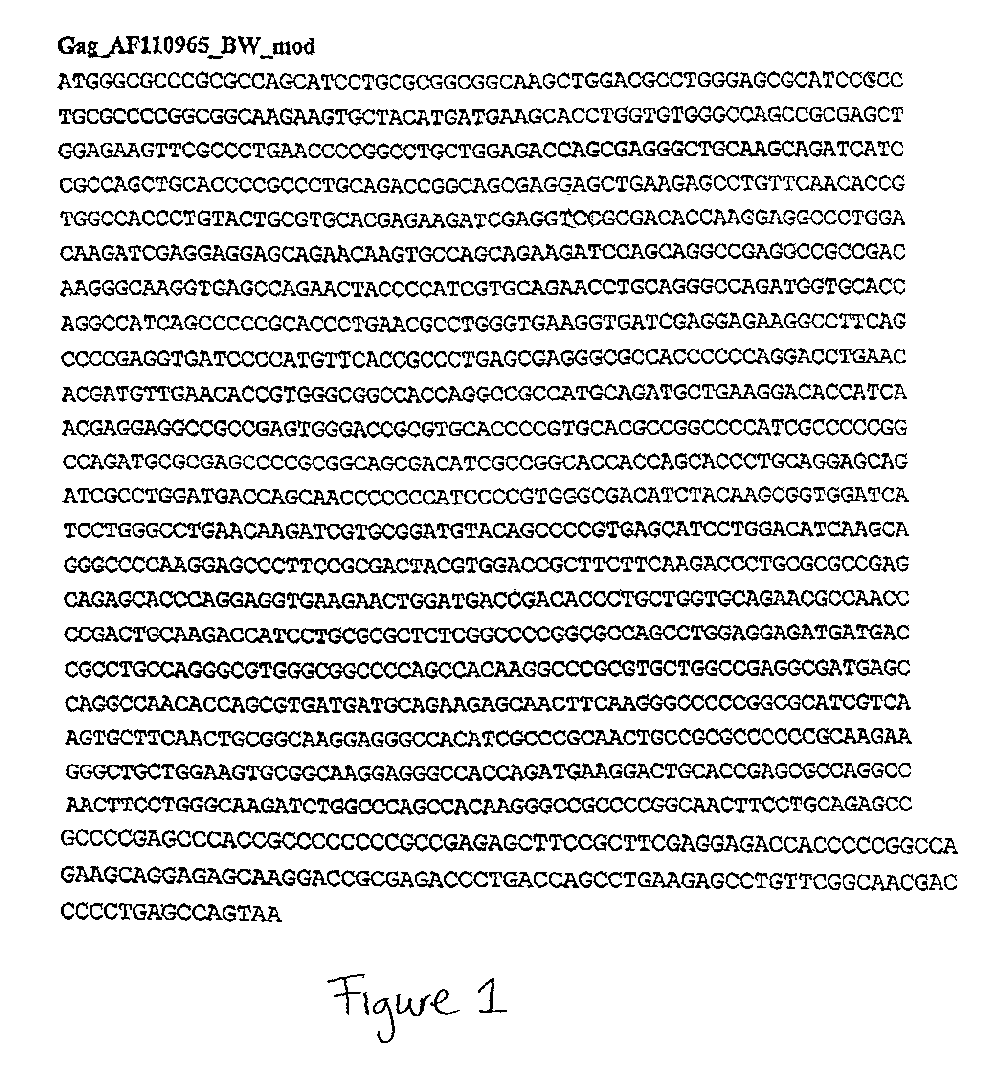 Expression cassettes encoding modified human immunodeficiency virus type 1 subtype C envelope glycoproteins