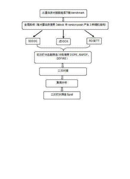 Method for calculating and simulating protein-protein docking