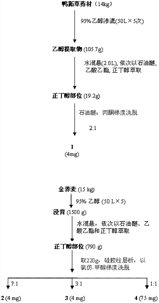 Application of flavan compound in preparing anti-complement medicines