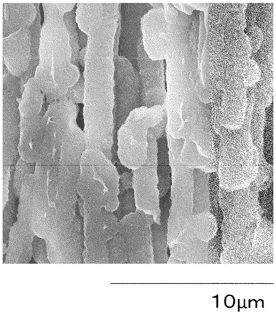 porous hollow fiber membrane